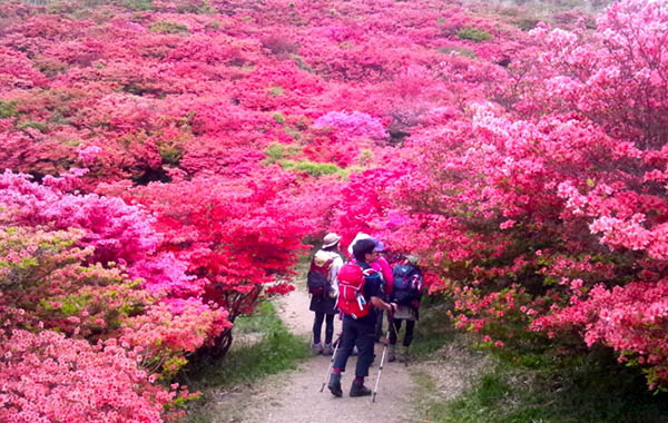 日本關西登山徒步旅行目的地10選
